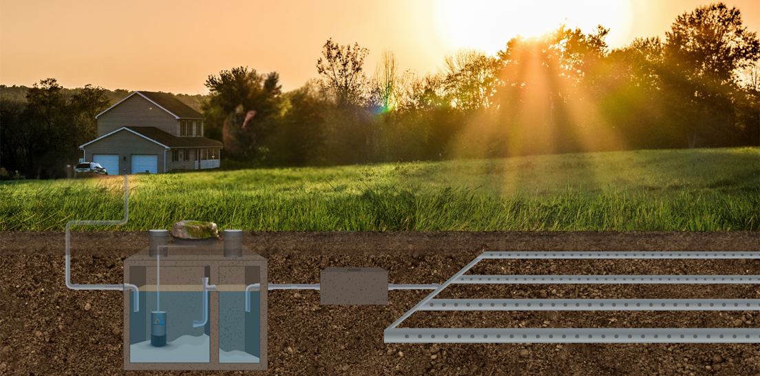 Cross-section illustration of a residential septic system: house, tank, distribution box, and drain field laterals underground